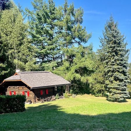 Cozy Log Cabin Near Faaker See Ledenitzen Exteriör bild
